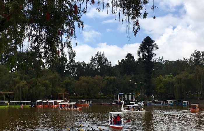 Boating At Burnham Park