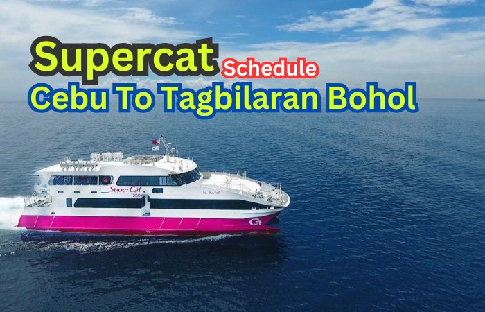Cebu To Tagbilaran Bohol