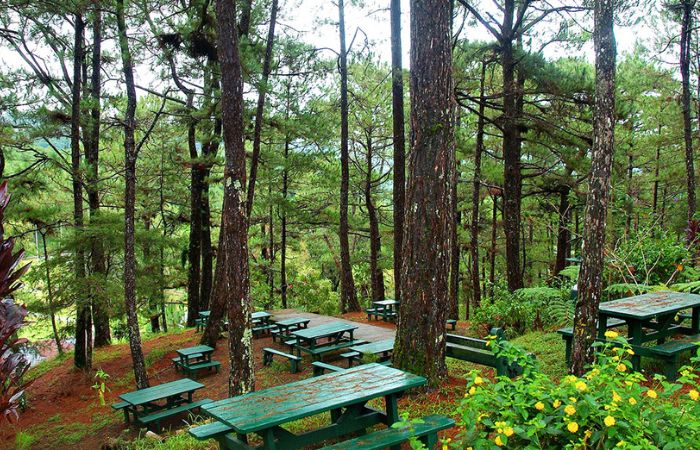Explore Camp John Hay
