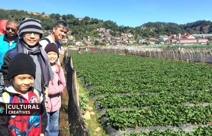 Community And Cultural
