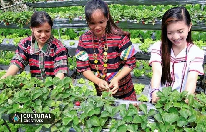 Cultivation Practices