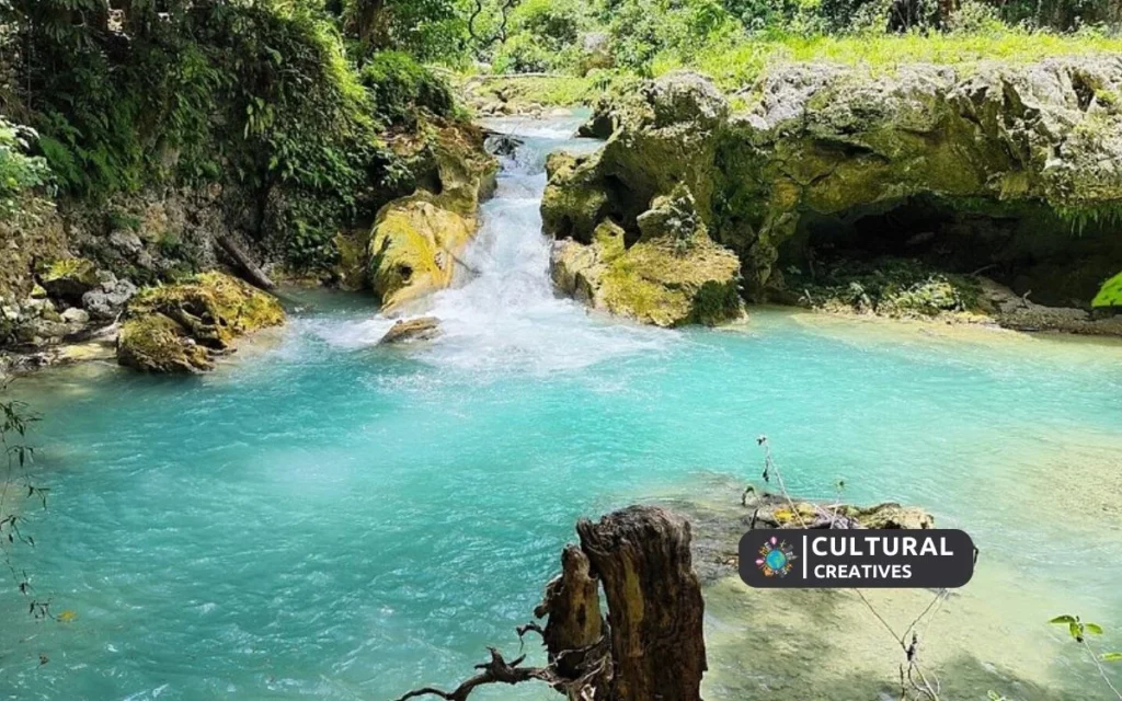Travel Guide to Kawasan Falls in Cebu