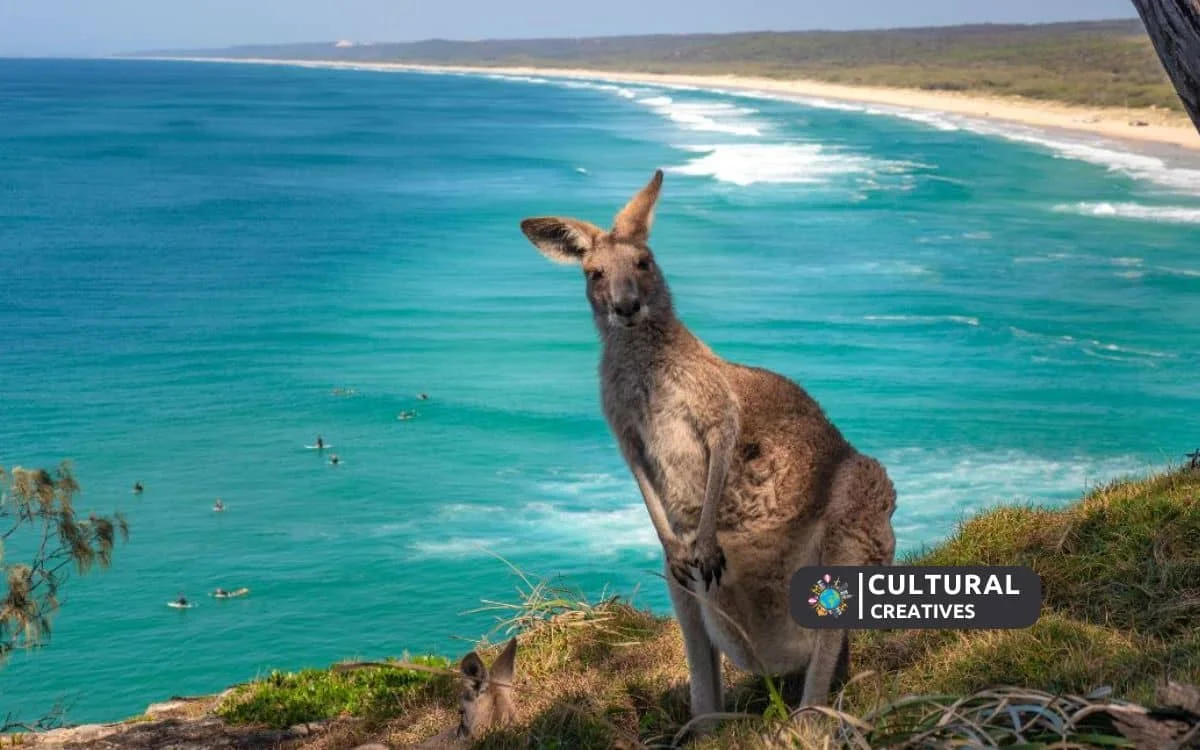 How to Get to Kangaroo Island from Melbourne