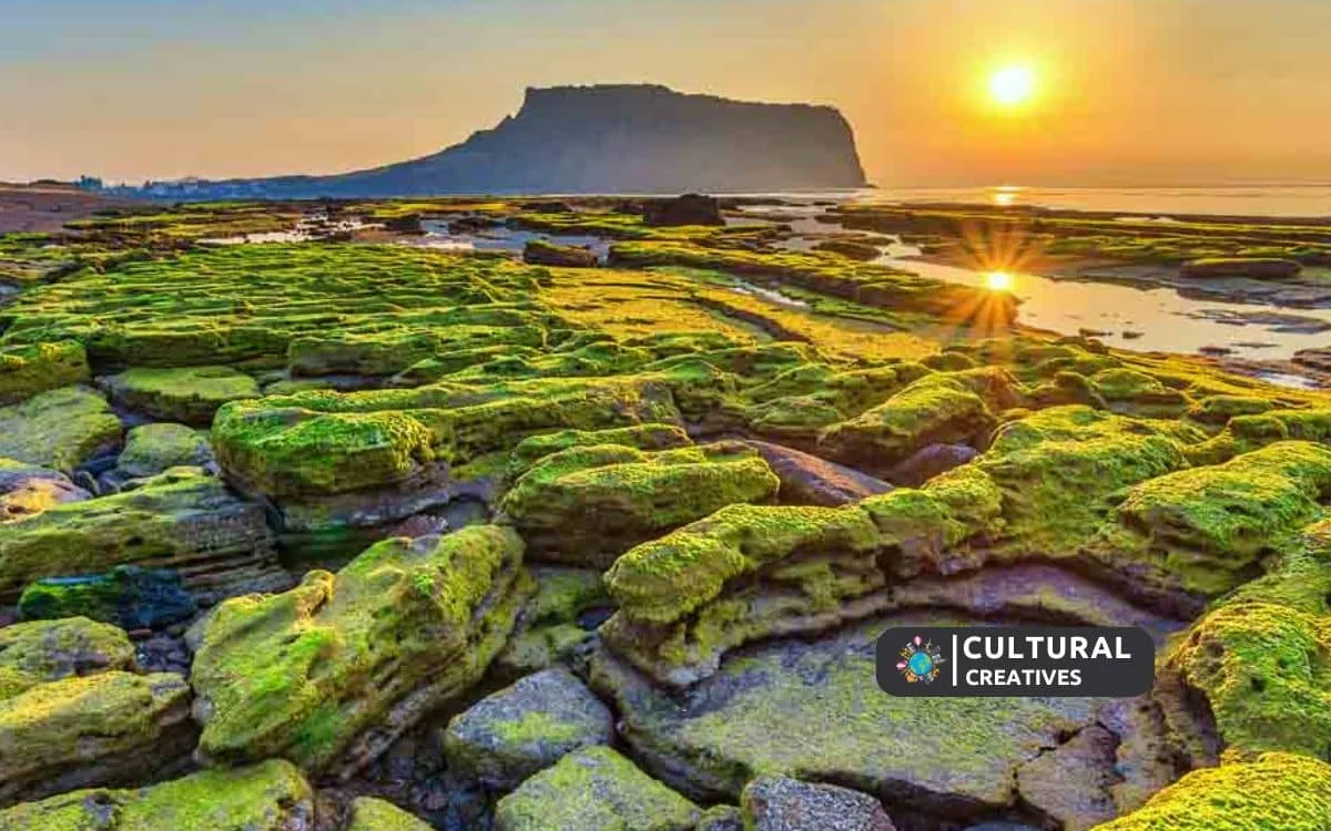How to Get to Jeju Island