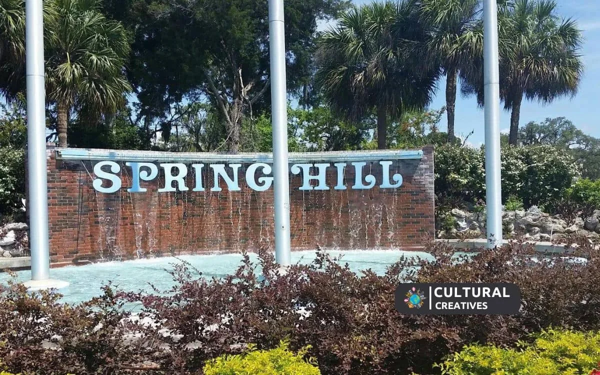 What Is There To Do In Spring Hill Florida