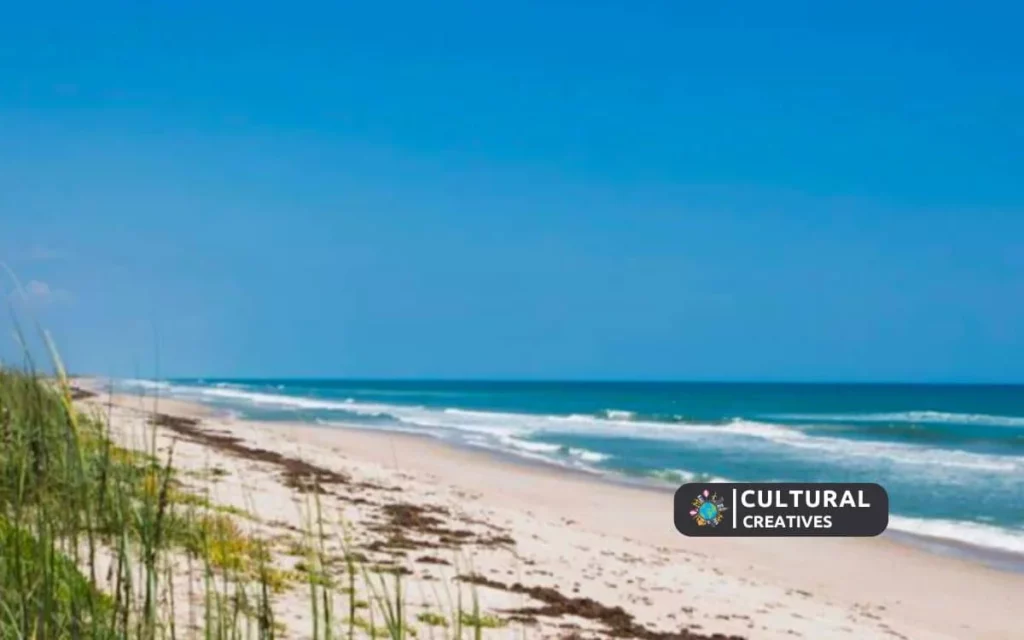 How Far is Vero Beach from Tampa