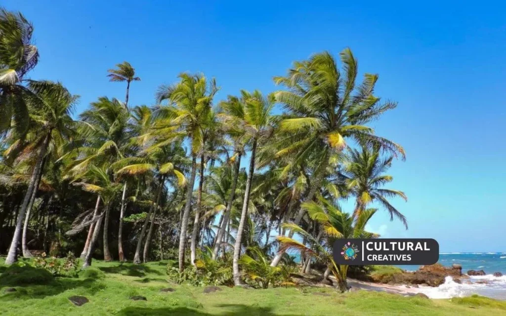 How to Get to Little Corn Island
