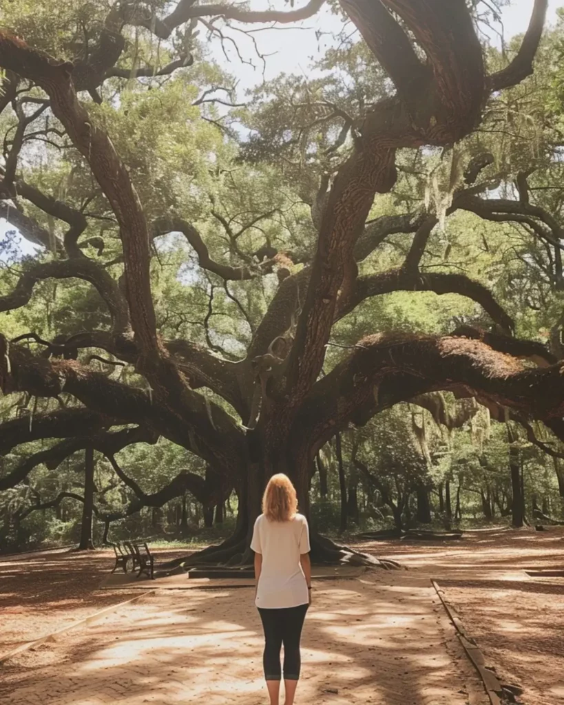 Visit Angel Oak on Johns Island