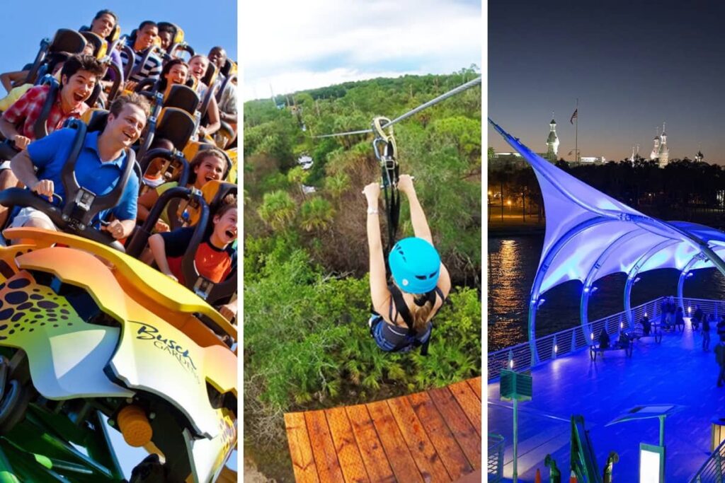 Best Things to Do in Tampa