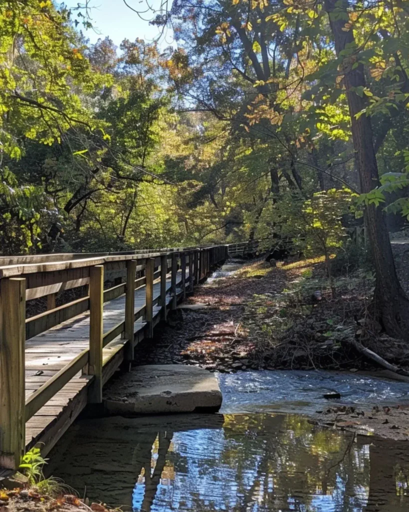 Enjoy Nature and Outdoor Activities at Beckley Creek Park