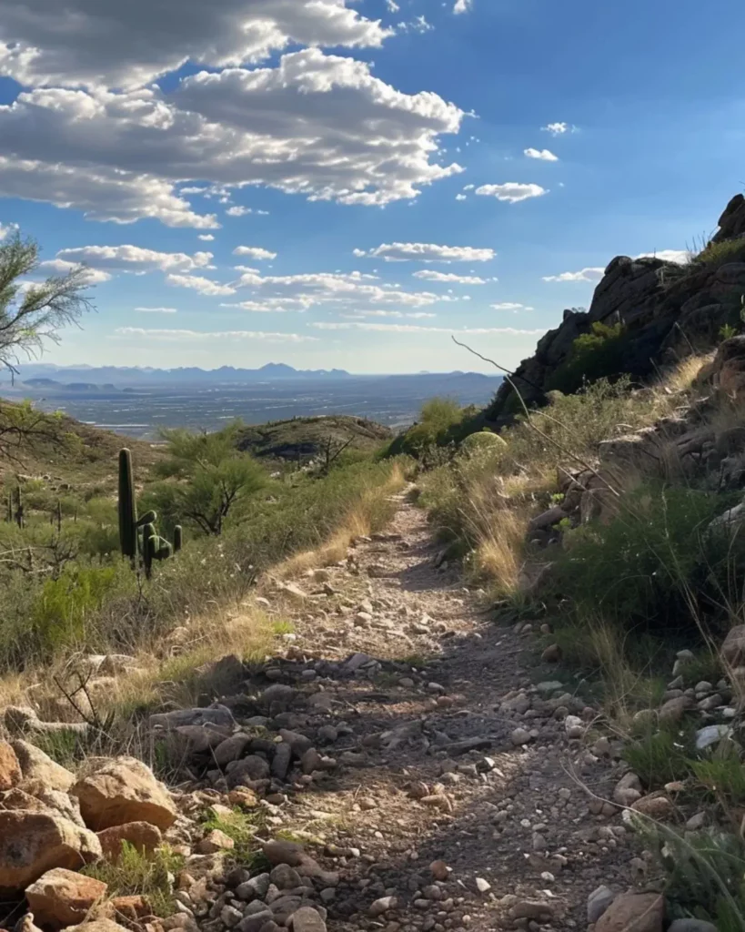 South Mountain Park and Preserve