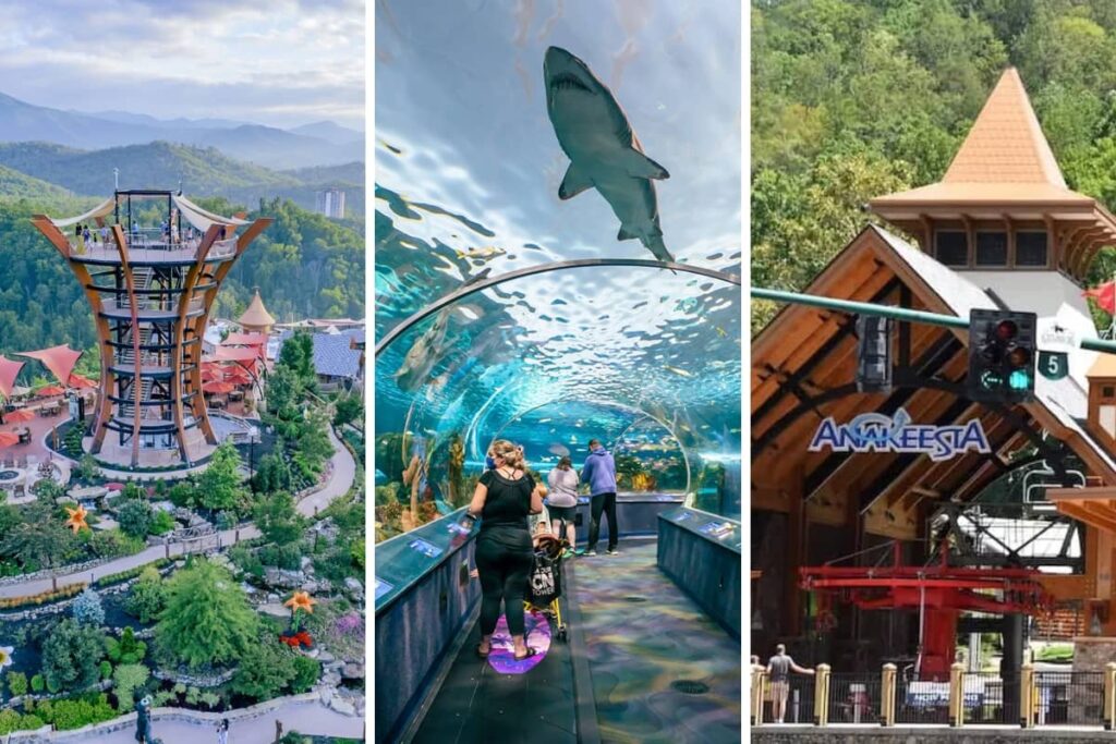 Things To Do in Tennessee