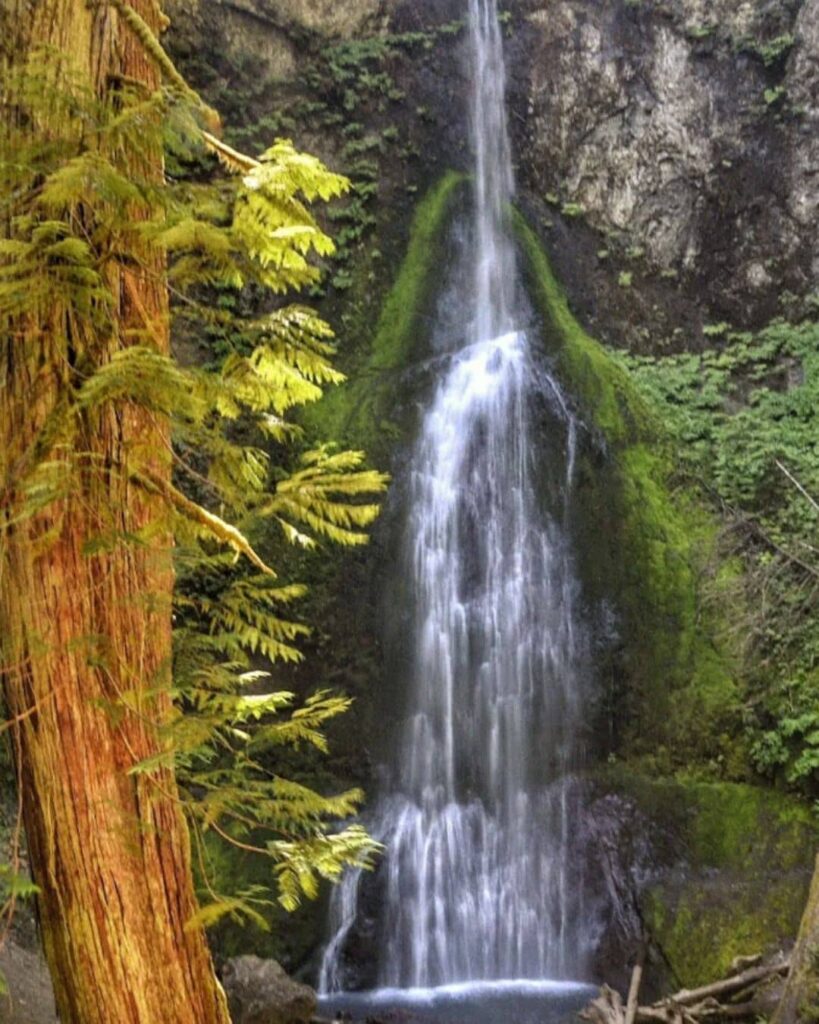 Hike To Marymere Falls