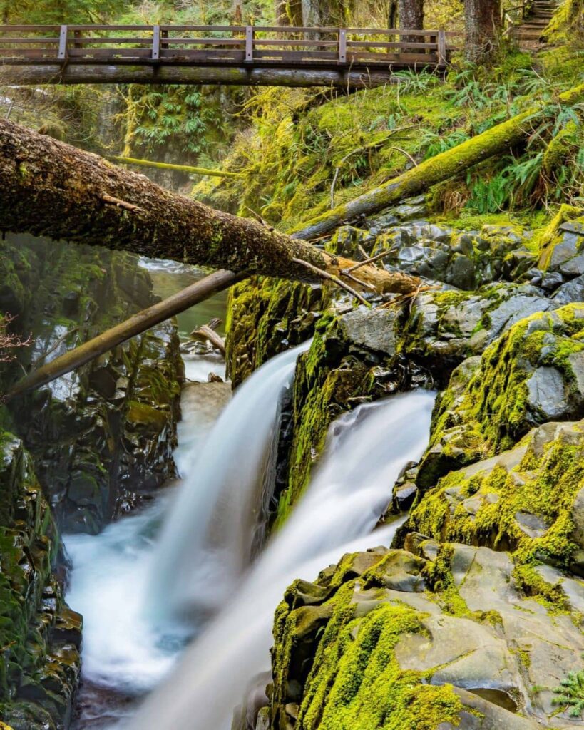 Hike To Sol Duc Falls