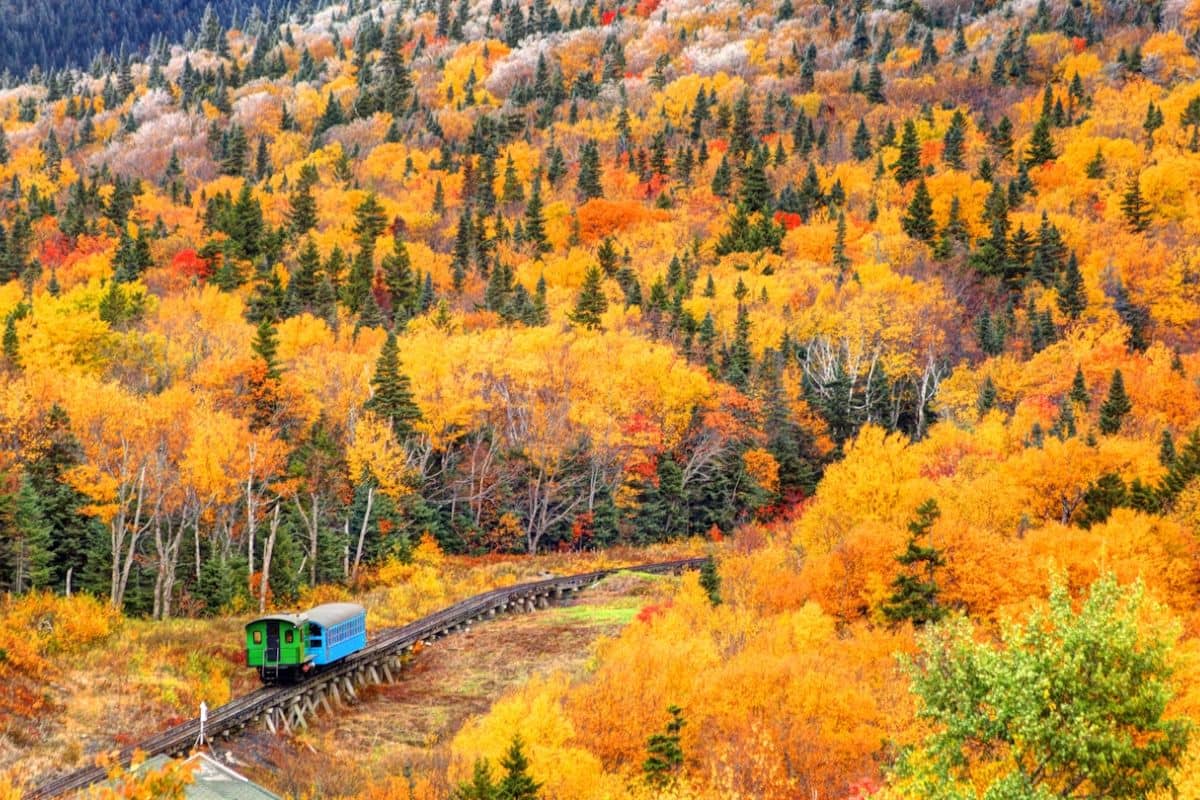 The Most Intense Fall Colors