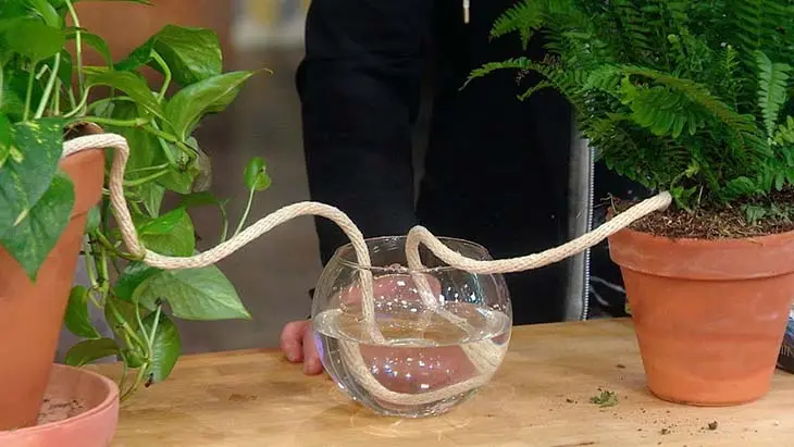 Use a rope to water your plants