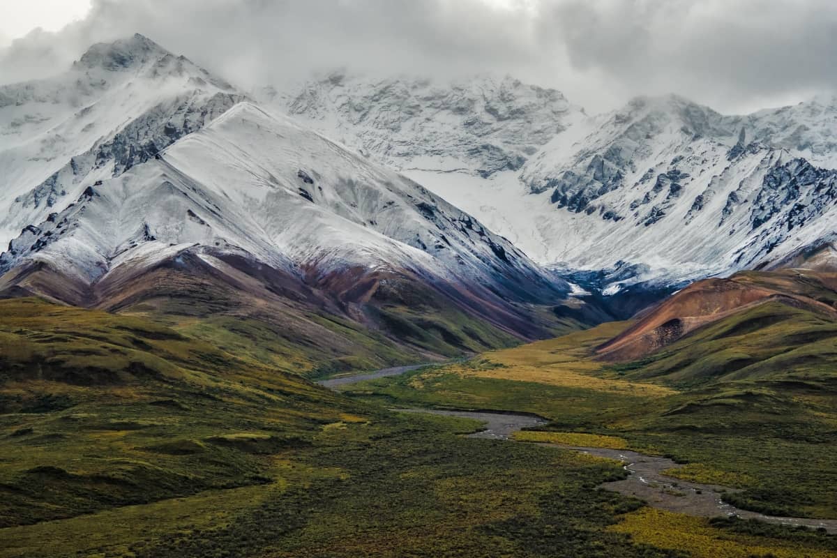 Denali National Parks