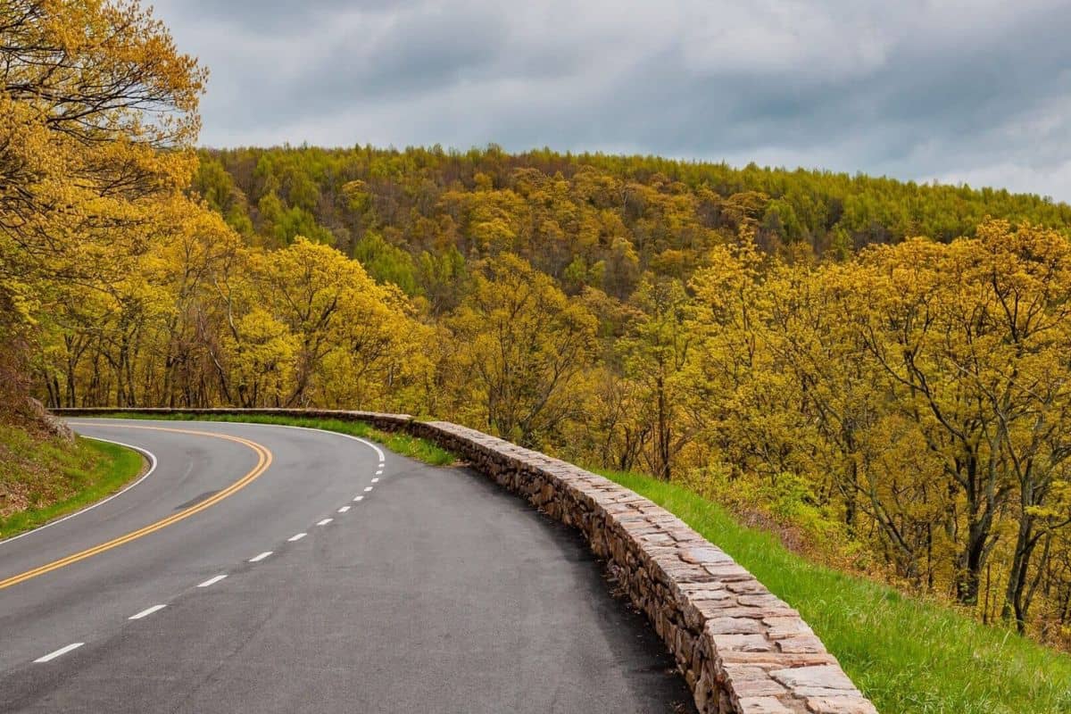 Skyline Drive