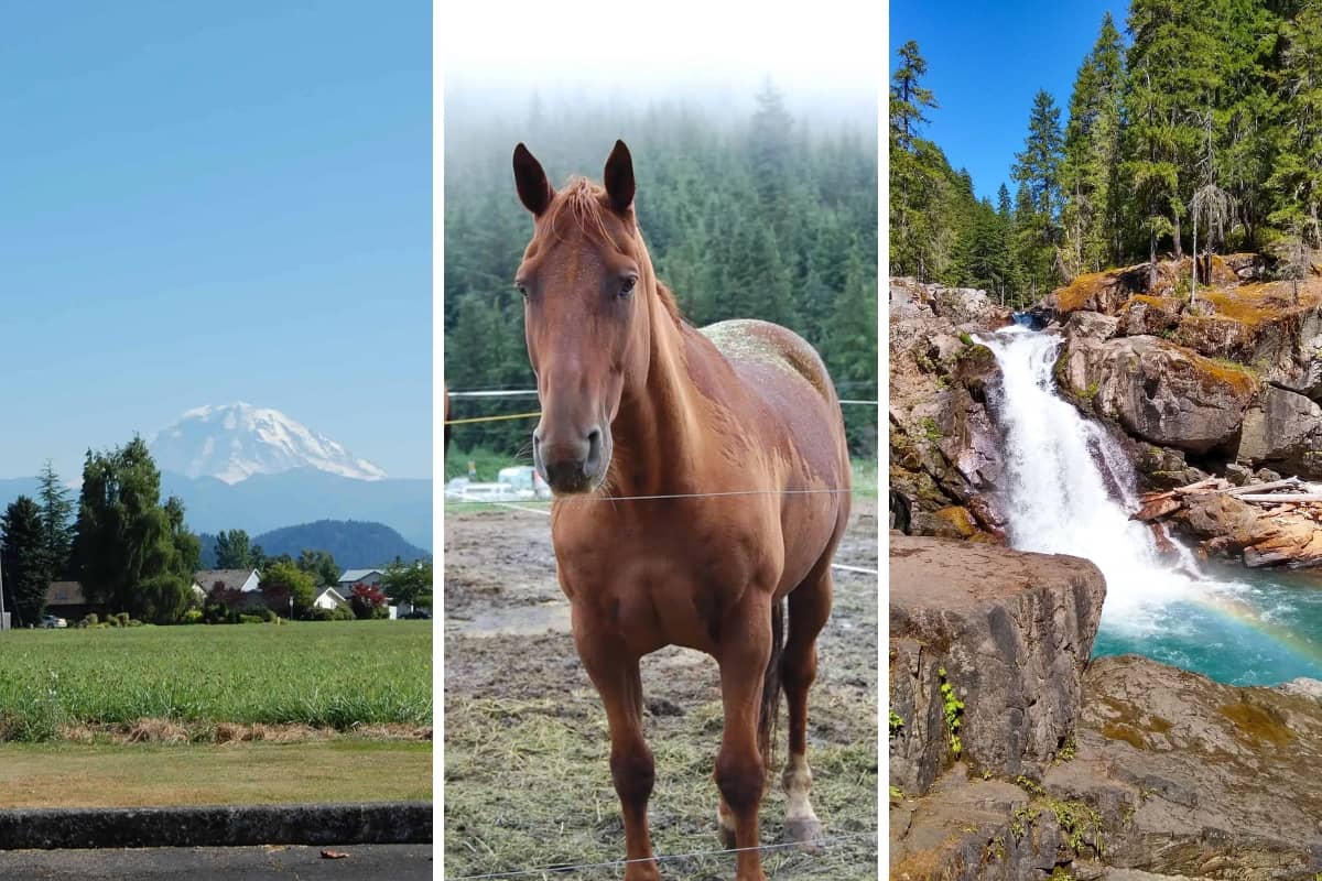 48 Hours in Mount Rainier National Park