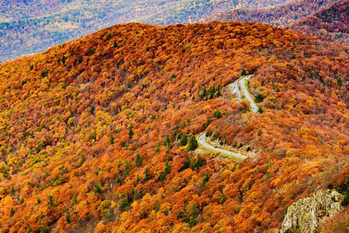 Appalachian mountains from the skyline drive