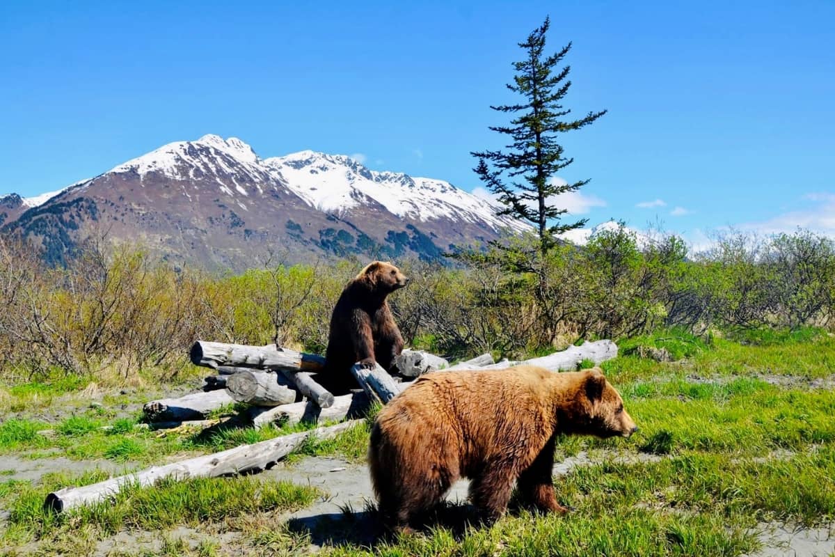 Autumn Seasons in Alaska