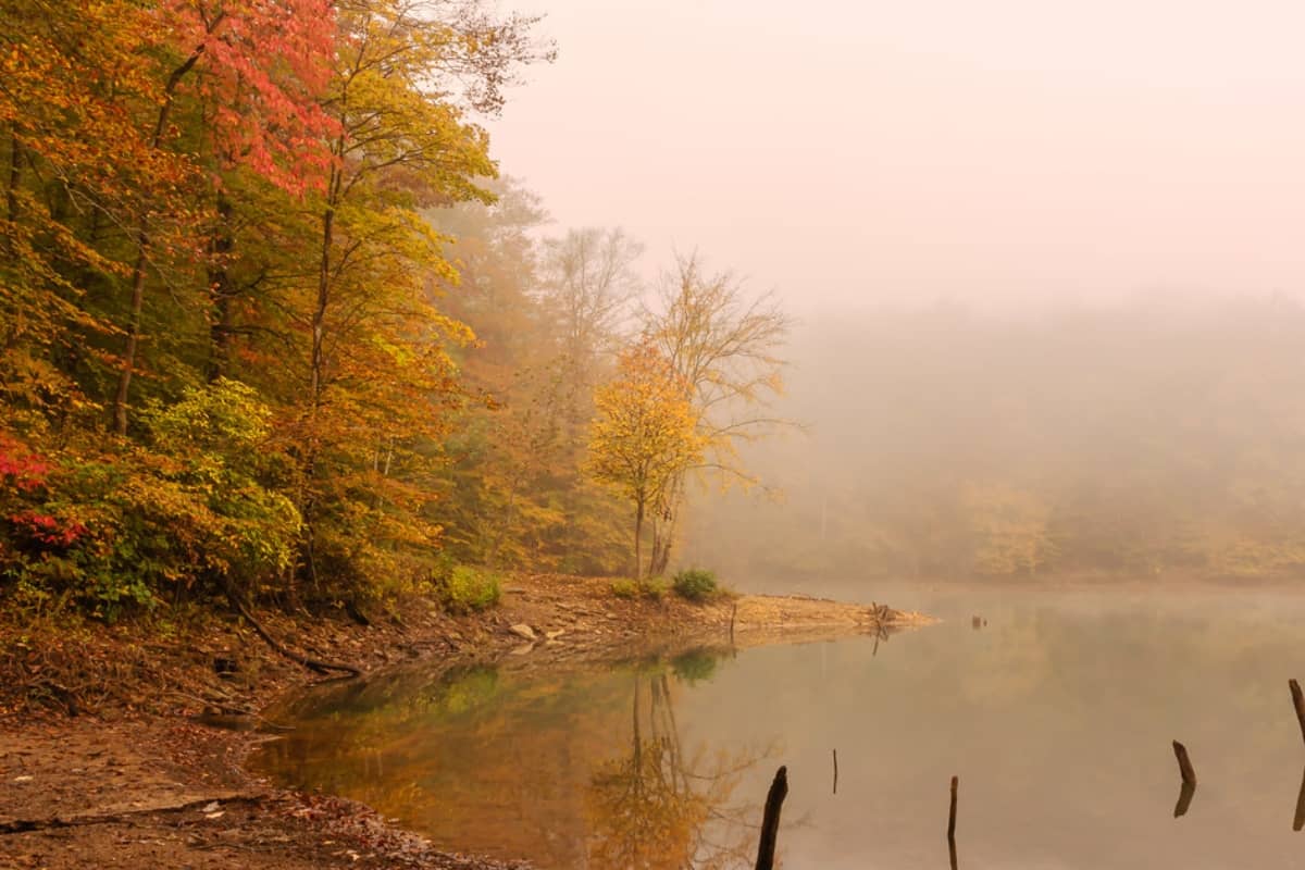 Cannon Creek Lake