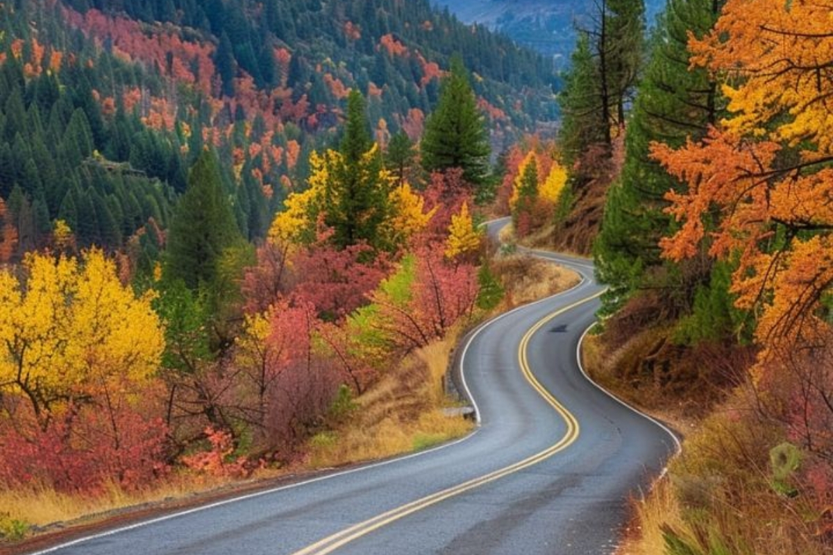 Elkhorn Mountains Drive Scenic Byway