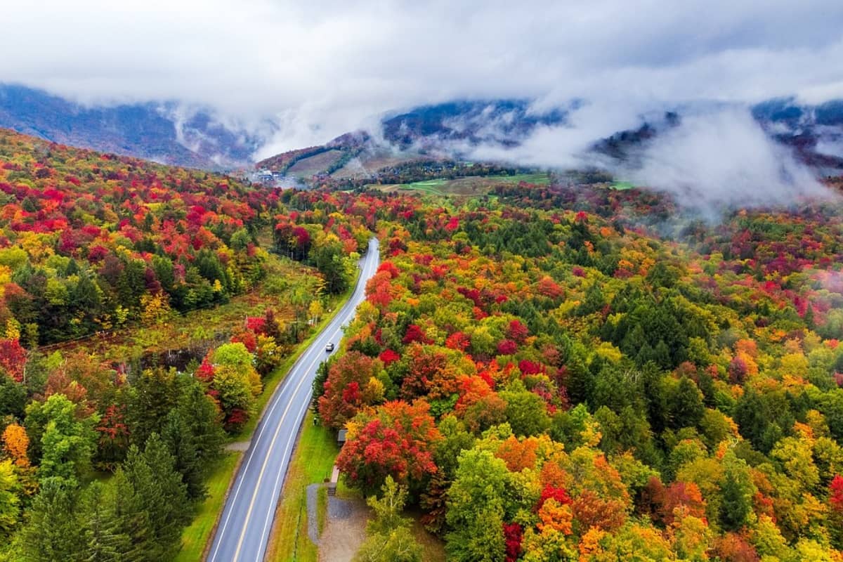 Fall Foliage Colors at Vermont