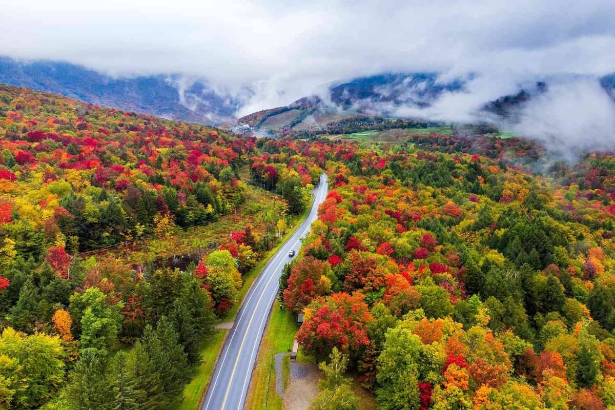 Fall Foliage Manchester, Vermont