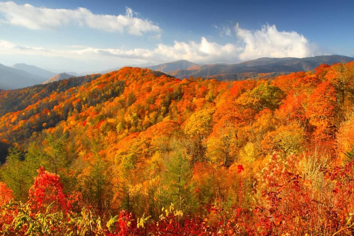 Fall in Smoky Mountains National Park