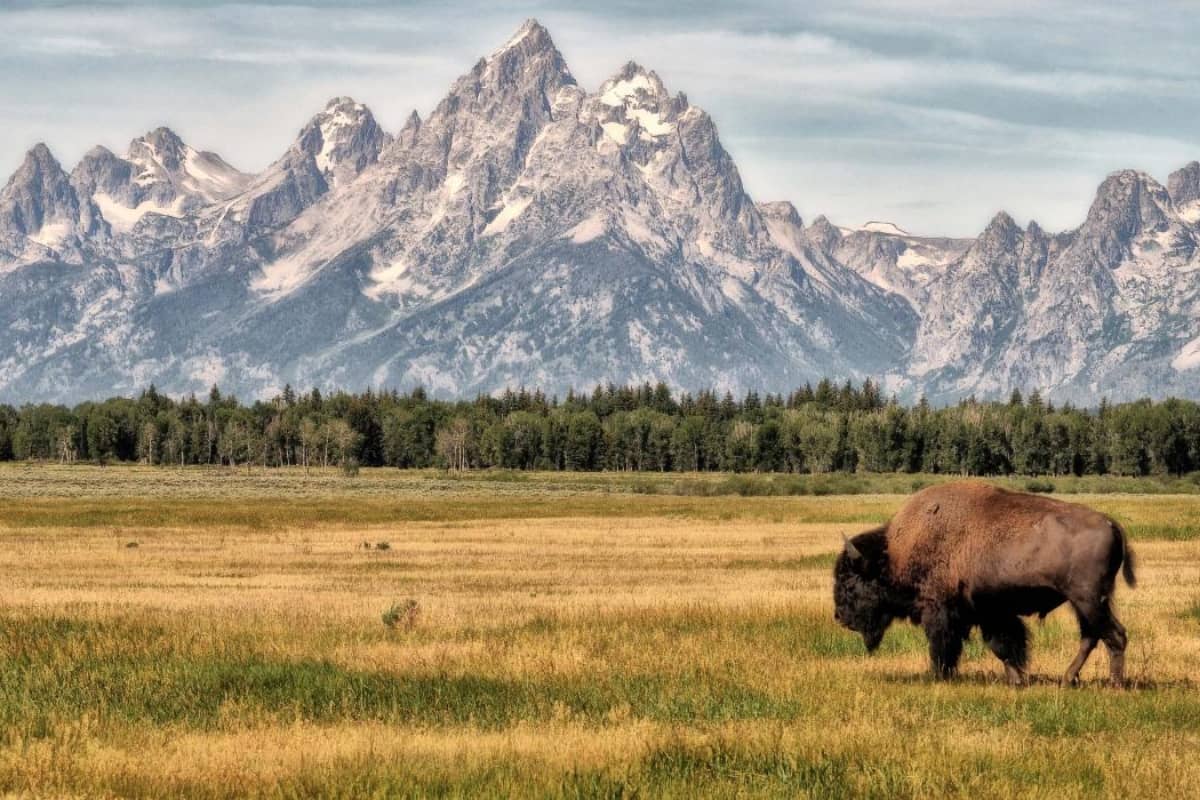 Grand Teton National Park mountains