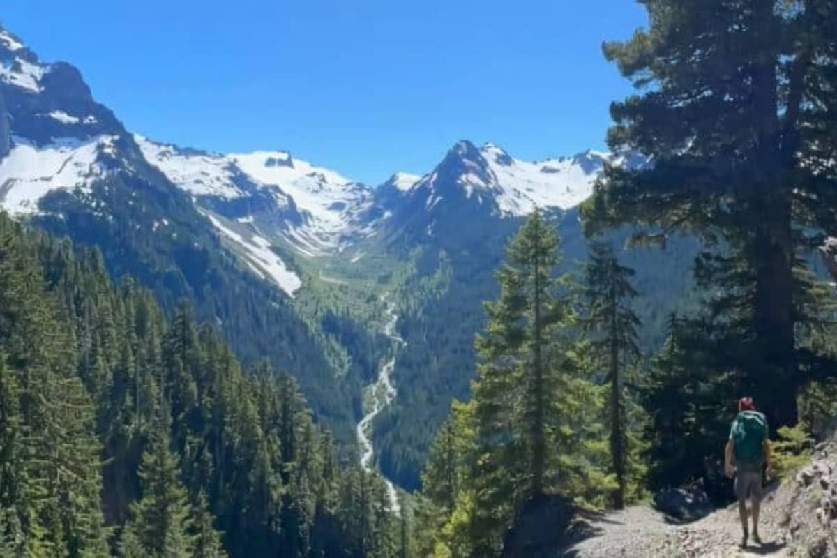 Hoh River Trails