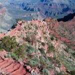 Kaibab Trail