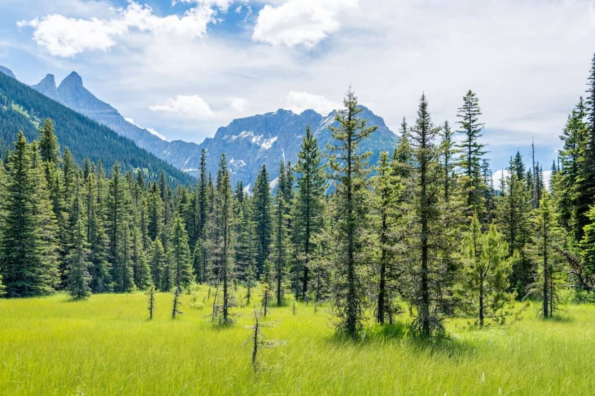 Kootenai Mountains