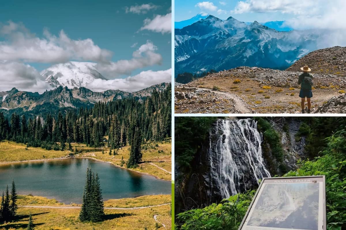 Mount Rainier National Park 1 Day Itinerary