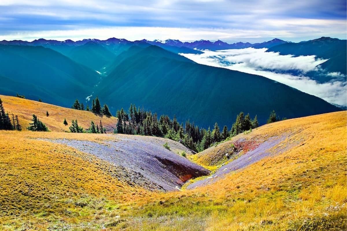 Olympic National Park Hurricane Ridge