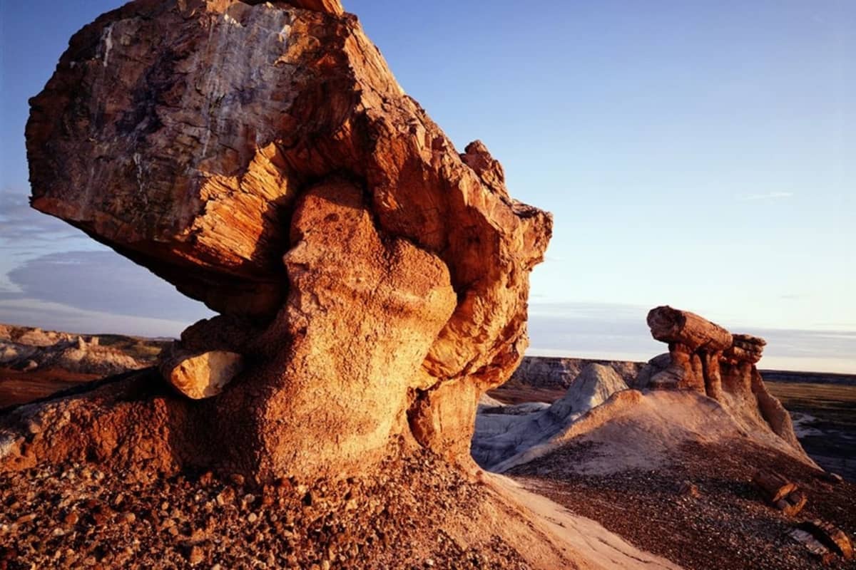 Petrified Forest National Park