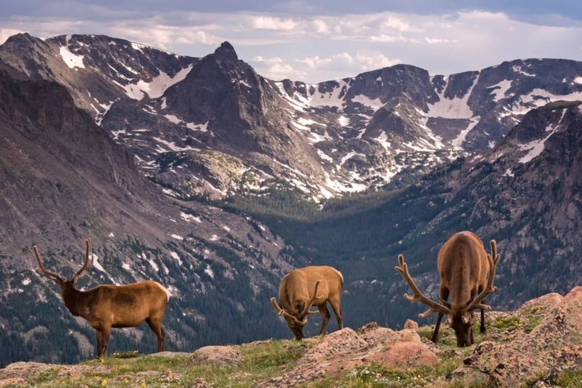 Rocky Mountain National Park