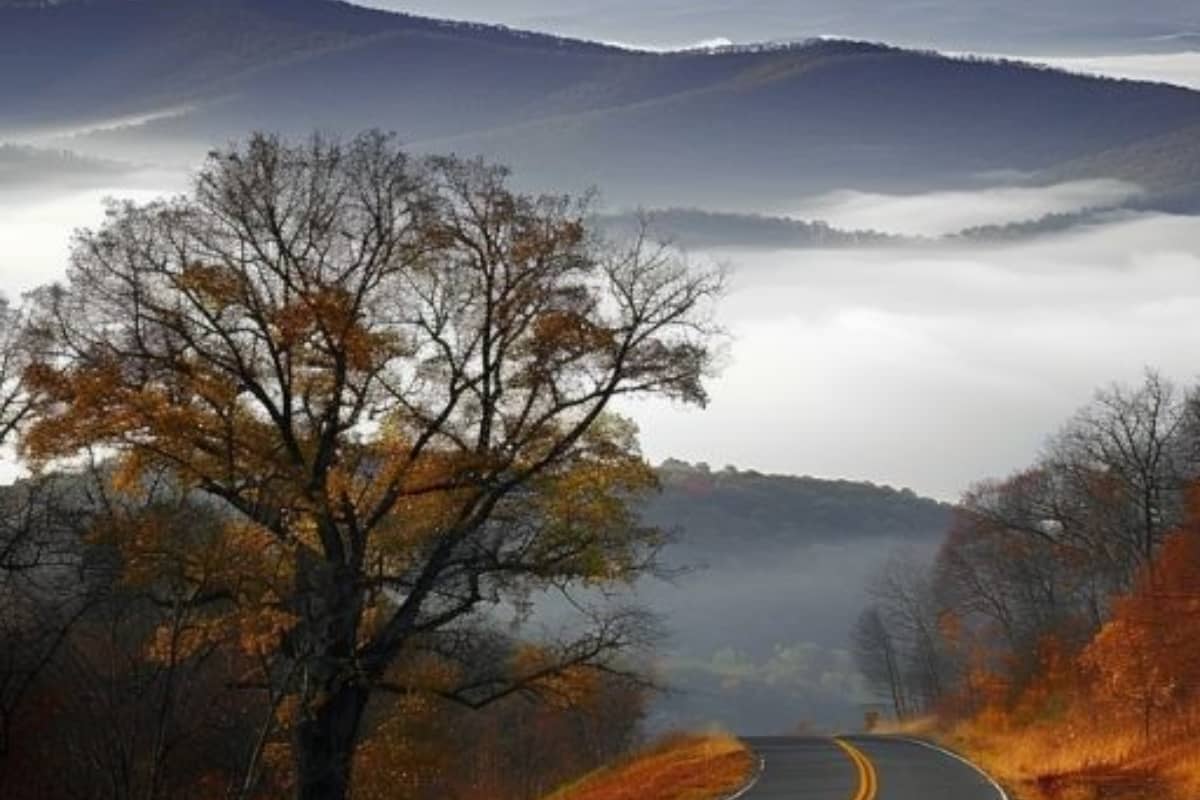 Shenandoah National Park Skyline