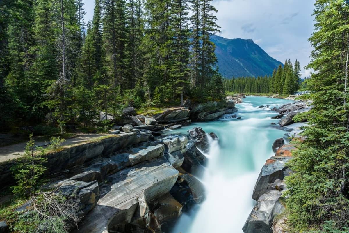 The Kootenay National Park