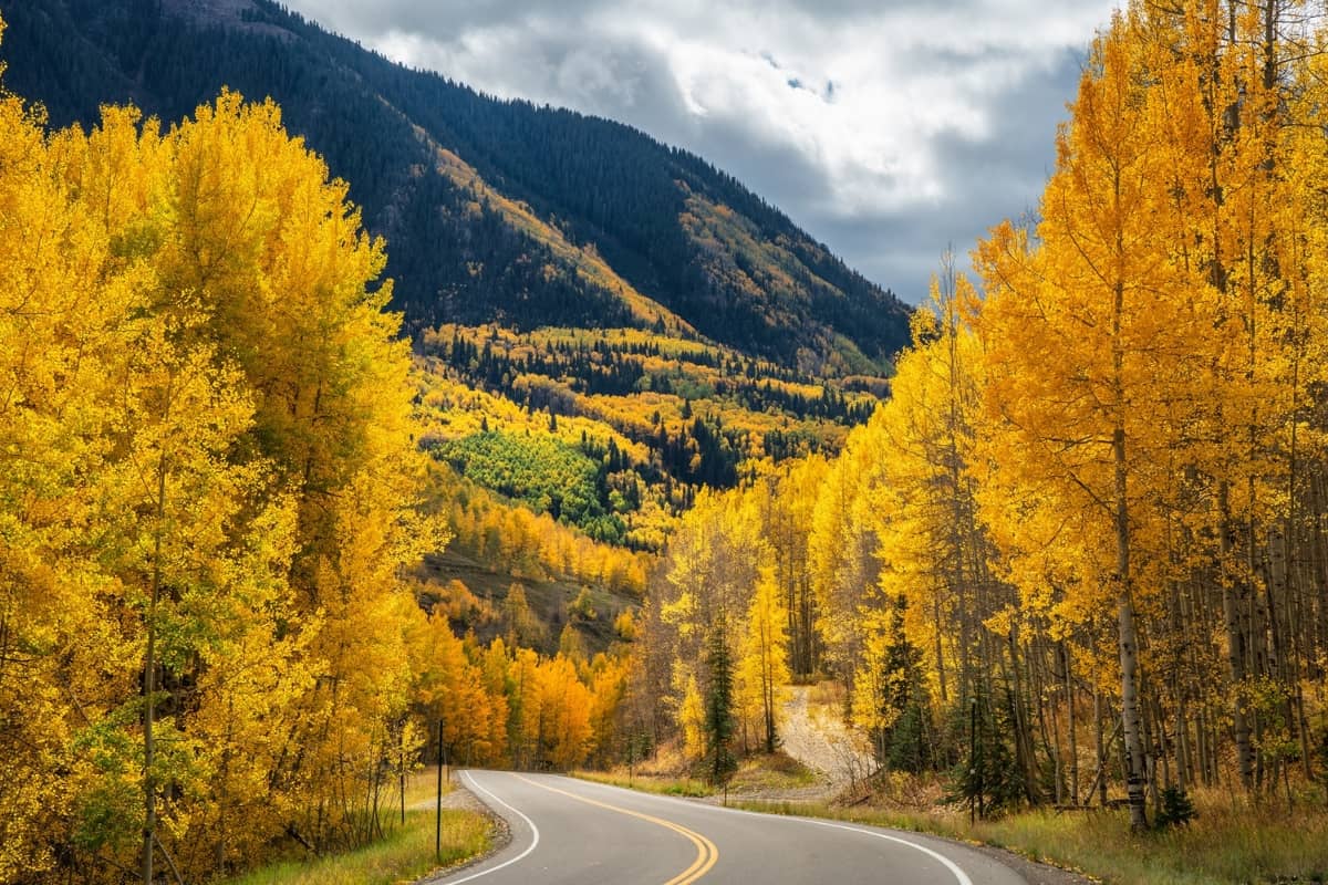 Fall Colors in Colorado