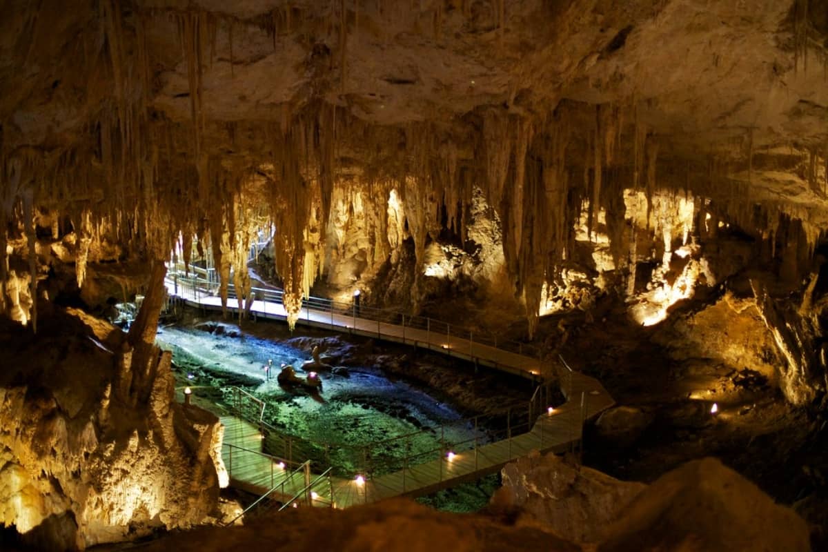 Mammoth Cave National Parks