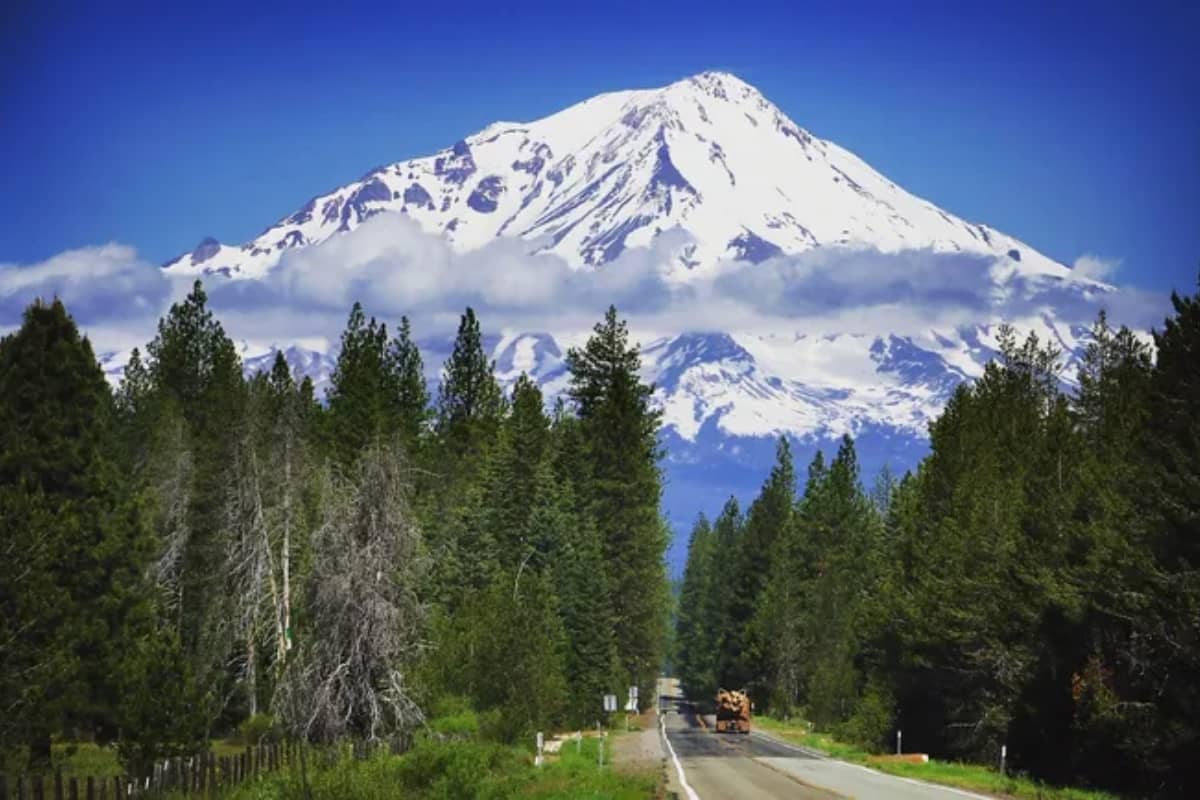 Mount Shasta