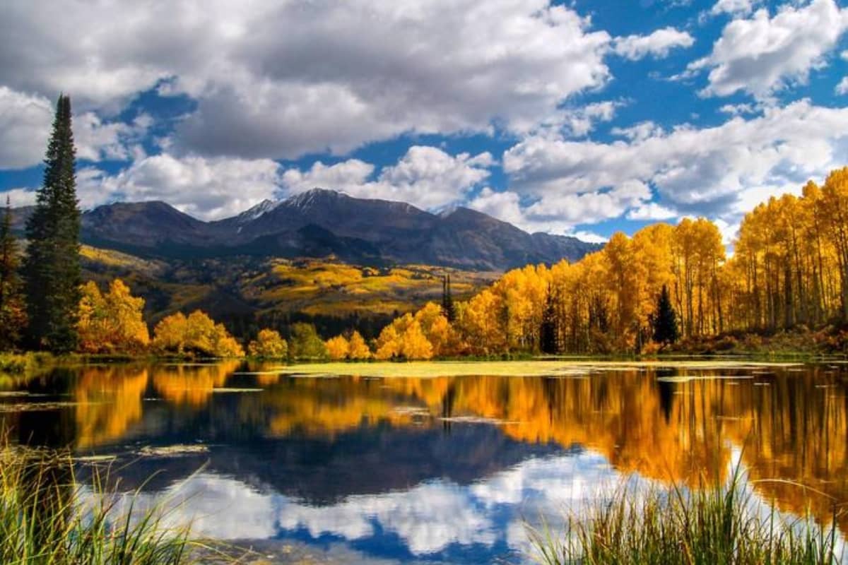 uncompahgre national forest