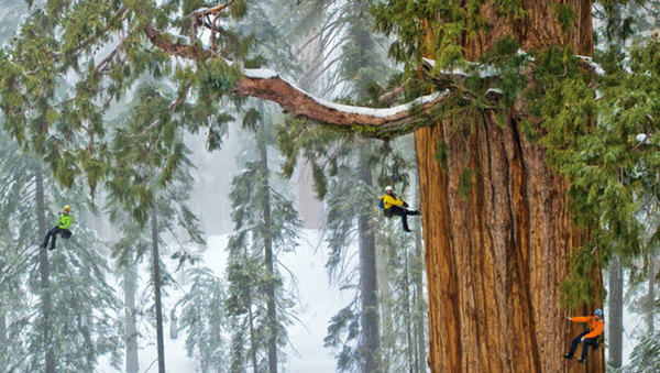 Sequoia National Park