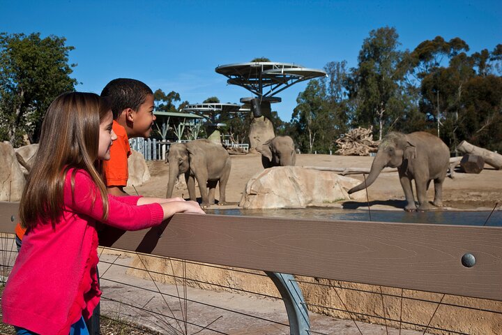 A family enjoying their day at a zoo with elephant in the background.