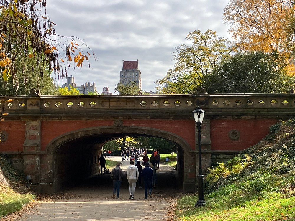 Central Park in New York City