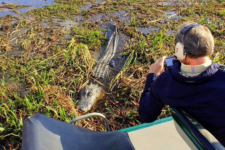 Wildlife Florida