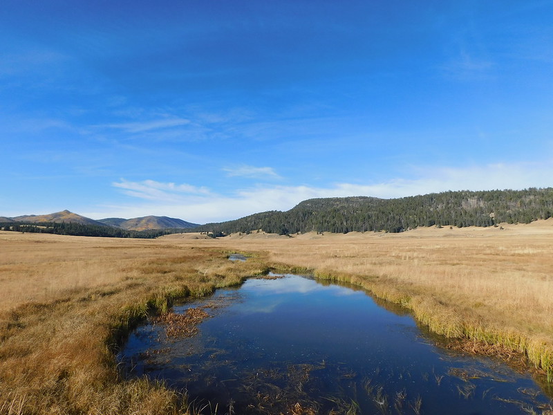 Glassy streams lace the grassy volcanic basin of Valles Caldera
