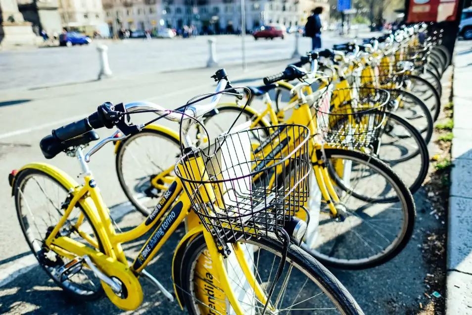 Rows of bright yellow bikes ready for beachside adventure